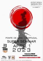 APRIL 1 2023 - Krav Maga Seminar  Ponte de Lima - Portugal