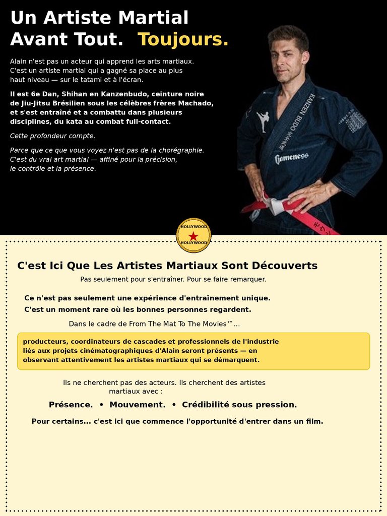Alain Moussi Artiste 